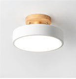Simple And Modern Ceiling Lamp
